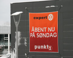 Spiderystem.org 400 x 400 cm.