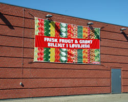 Spiderystem.org 300 x 500 cm. på murvæg